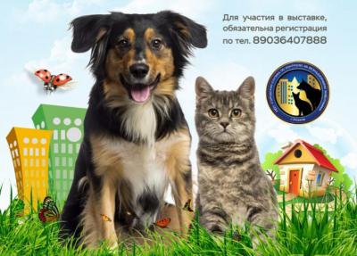 В Лесопарке пройдёт выставка-поиск дома для собак и кошек